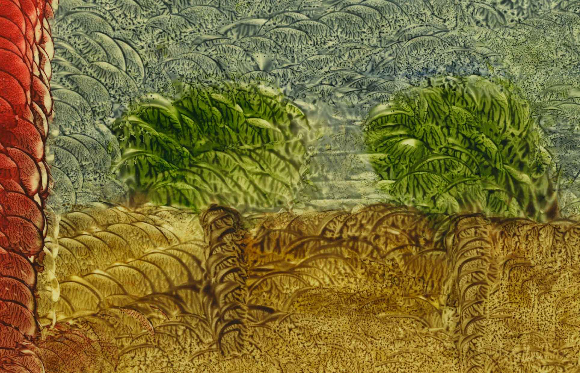 Austin Texas Art Gallery Museum